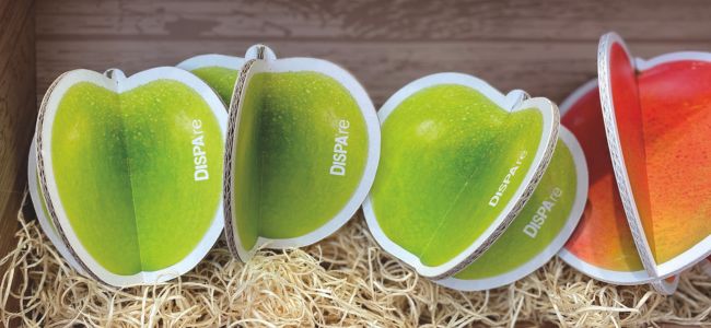 Oeufs en panneau écologique DISPA® re